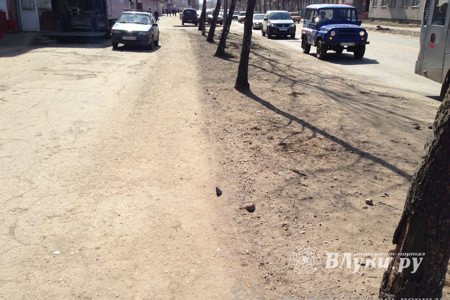 Весне дорогу!