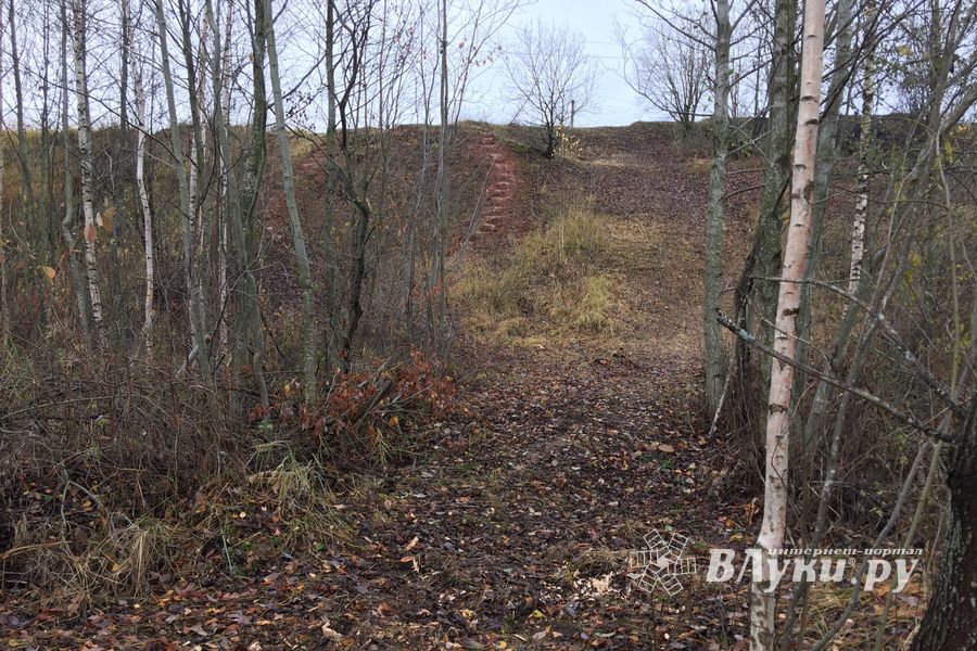 Переслегинские ребята сгибают «Подкову» (ФОТО)