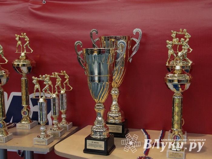 Матчевая встреча по боксу Великие Луки —Псков — Грозный (ФОТО)