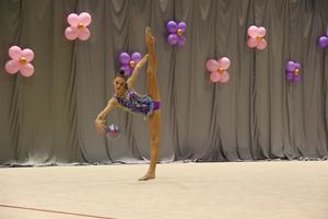 В Великих Луках завершился первый день соревнований Открытого Первенства города по художественной гимнастике (ФОТО) (0+))