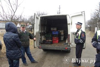 Сотрудниками рыбоохраны на трассе Псков – Гдов изъята контрабандная рыба (фото)