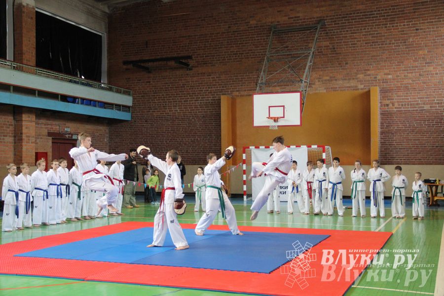 В Великих Луках прошло Первенство по тхэквондо (фото)
