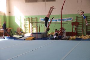 В Великих Луках проходит открытое первенство по спортивной гимнастике (ФОТО)