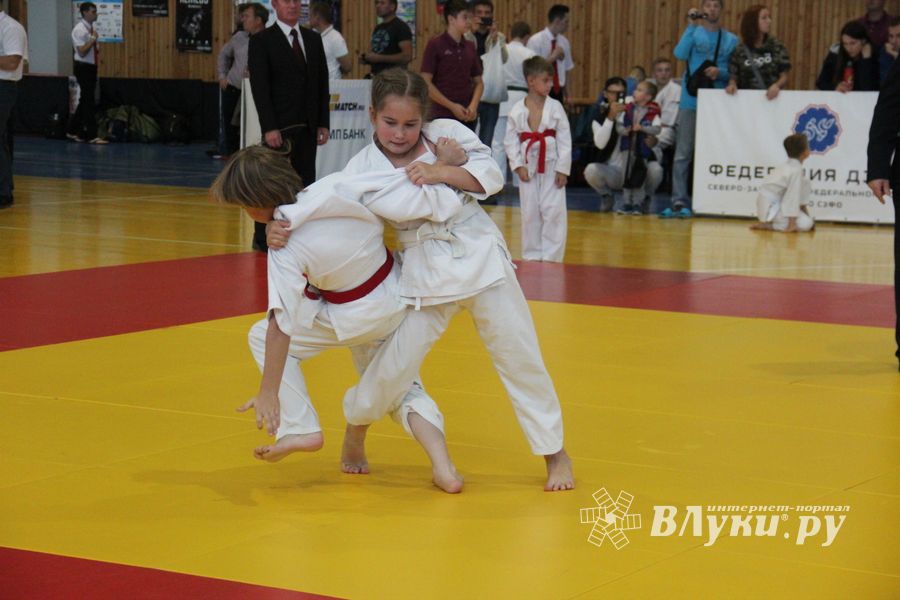 1-й Фестиваль боевых искусств состоялся в Великих Луках  (ФОТО)