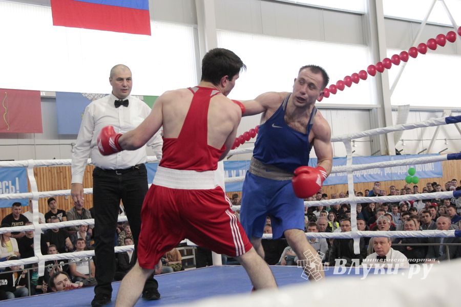 Матчевая встреча по боксу Великие Луки —Псков — Грозный (ФОТО)