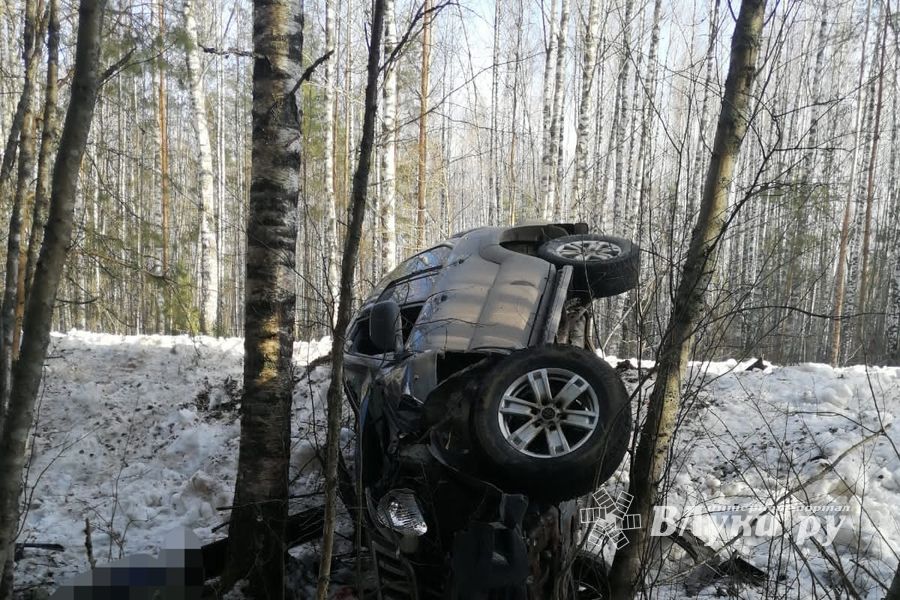 В Великолукском районе произошло смертельное ДТП (ФОТО)