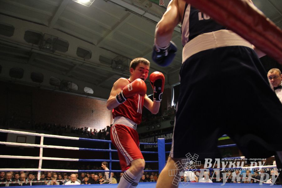 В Великих Луках состоялась матчевая встреча по боксу