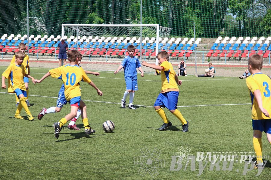 «Локобол-2013» в Великих Луках