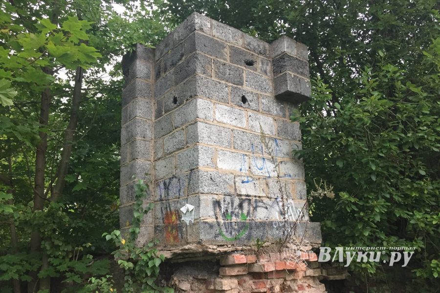 Великолучанам предлагают обходить улицу Евгения Клевцова (ФОТО)