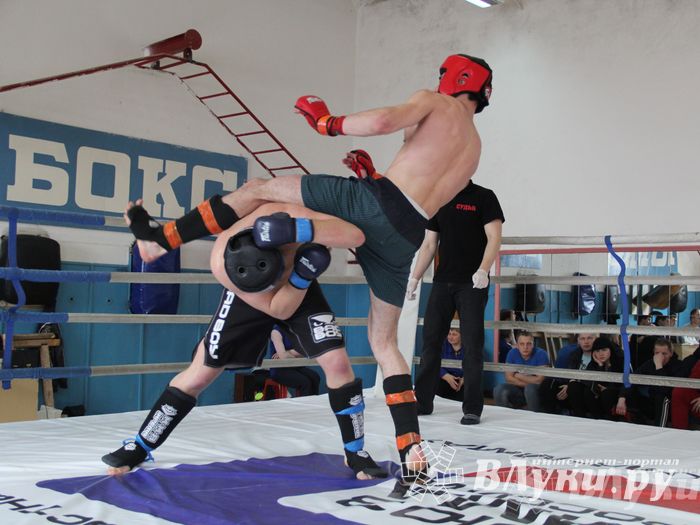 В Великих Луках прошел Чемпионат области по смешанному боевому единоборству (фото)