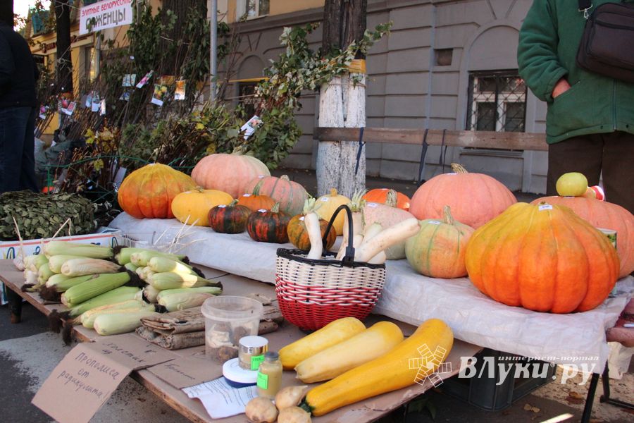 Торговая ярмарка «Осень-2016» прошла в Великих Луках (ФОТО)