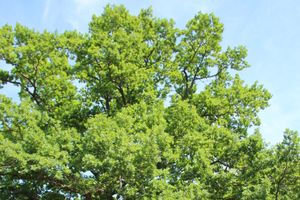 Праздник поэзии