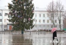 Этот странный январь