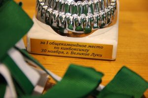 В Великих Луках прошли соревнования по кикбоксингу (ФОТО)