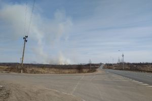 Почти 60 палов травы тушили пожарные Псковской области (ФОТО)