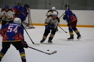 Великолукские хоккеисты одержали победу на домашнем льду (ФОТО)