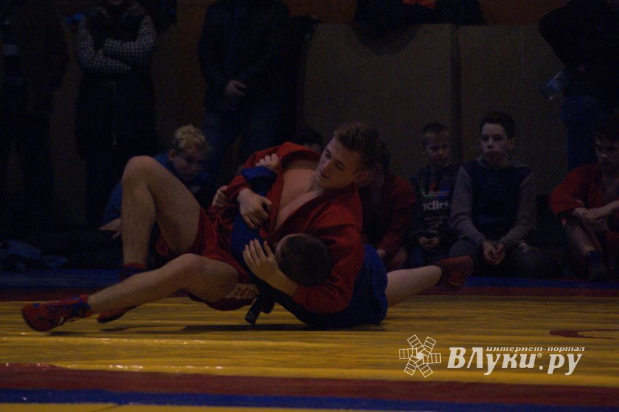 Великолучане завоевали призовые места на турнире по самбо «Память» (ФОТО)