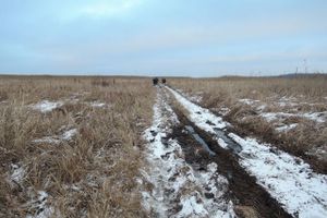 Фото с сайта ГУ МЧС РФ по Псковской области