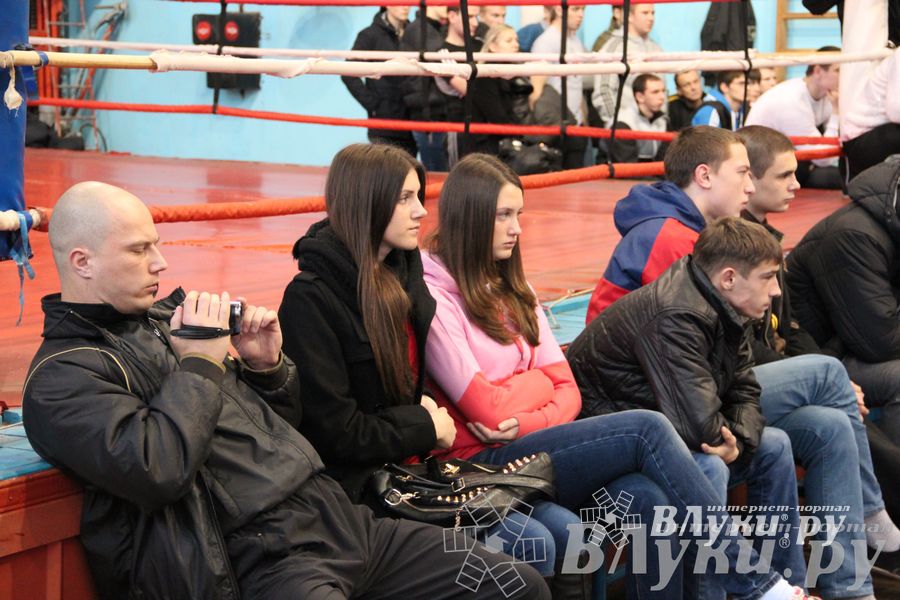 Первенство Псковской области по самбо