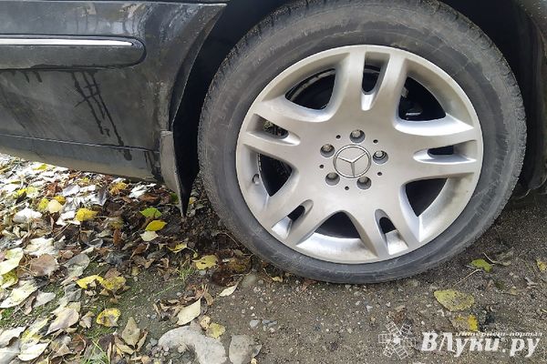 В Великолукском районе братья похитили колесные диски от иномарки