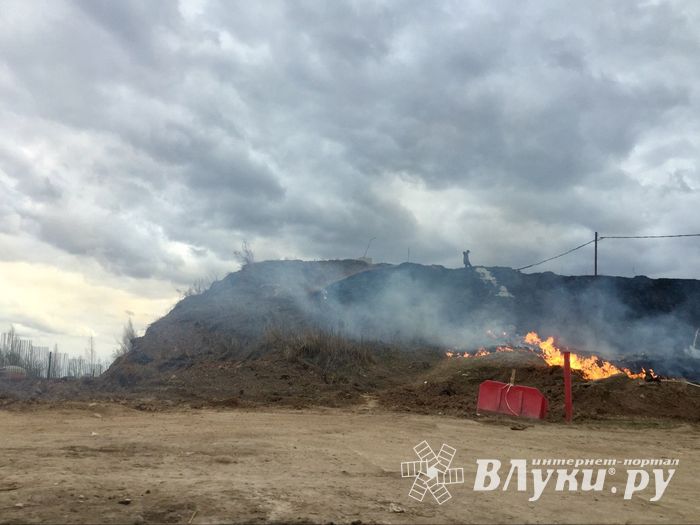 ФОТОФАКТ: В Великих Луках горит путепровод