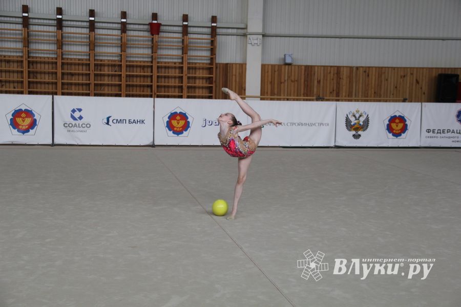 Гимнастика