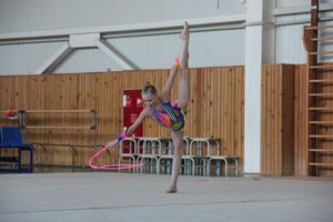 В Великих Луках прошли соревнования по по художественной гимнастике (ФОТО)