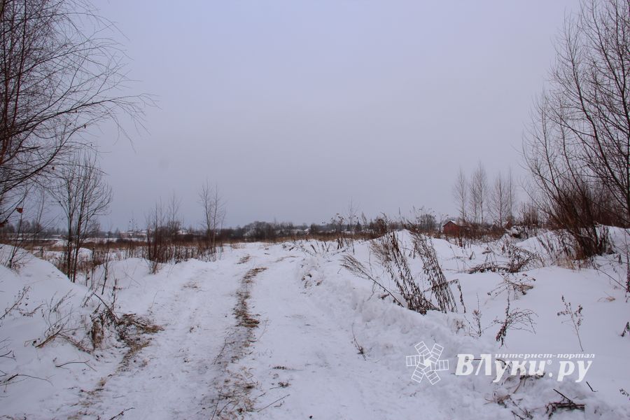 Губернатору не понравилось место для новой школы в Великих Луках (ФОТО)