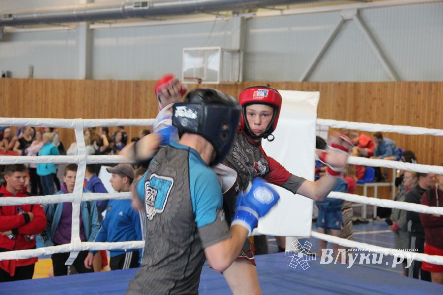 1-й Фестиваль боевых искусств состоялся в Великих Луках  (ФОТО)