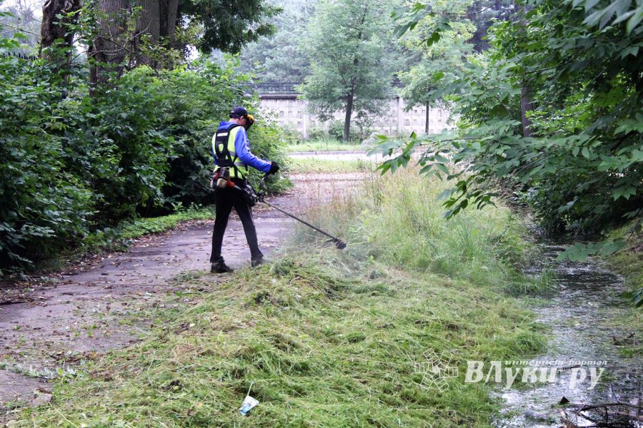 В Великих Луках косят (ФОТО)