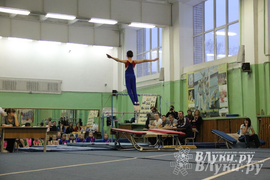 В Великих Луках состоялось Первенство по командной гимнастике (фото)