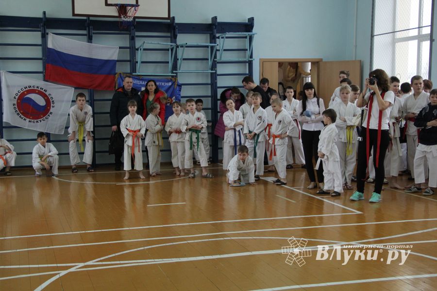 В Великих Луках прошел  турнир по Шотокан каратэ