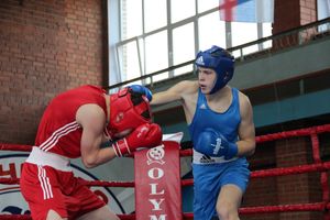 В Великих Луках прошел турнир по боксу памяти Е. Клевцова (ФОТО)