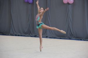 ​В Великих Луках проходит Открытое Первенство по художественной гимнастике (ФОТО) (0+)