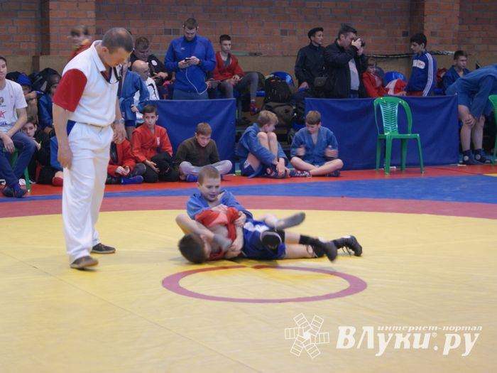 Великолучане завоевали призовые места на турнире по самбо «Память» (ФОТО)