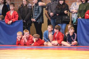 Открытый турнир по самбо «Новогодняя звезда-2019» прошел в Великих Луках (ФОТО)