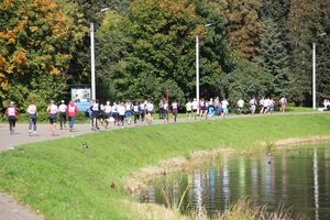 «Кросс Нации-2020» прошёл в Великих Луках (ФОТО)