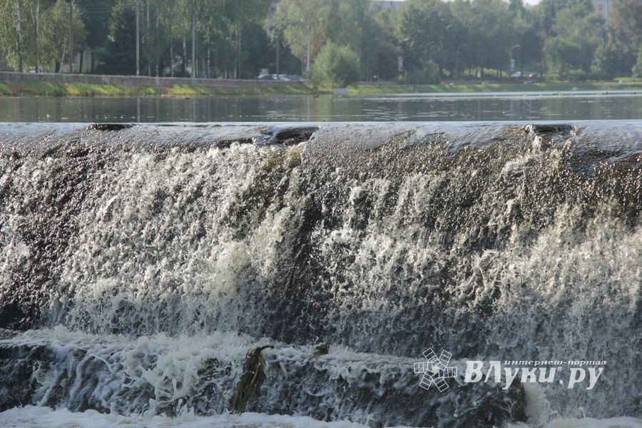 В Великих Луках обнаружили тело мужчины, который утонул 21 августа (ФОТО)
