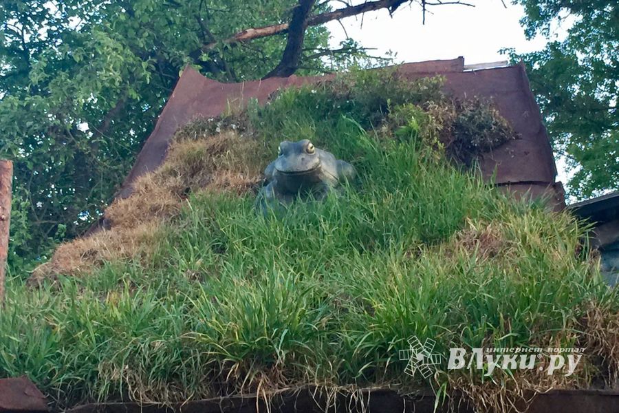 Фотофакт: сказочный дом в Великих Луках