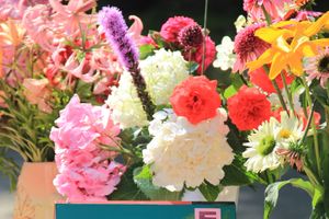 «Великолукский благовест»