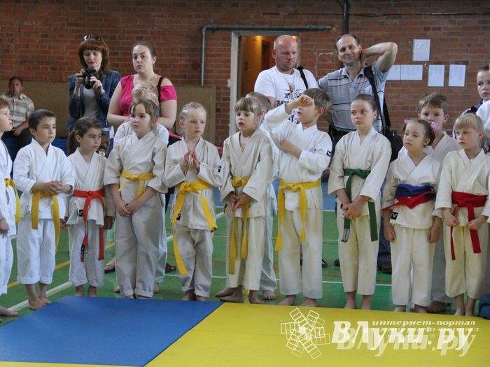 Великолучане стали победителями турнира по каратэ «Неприкосновенный запас, дети — Отчизны 2015» (фото)