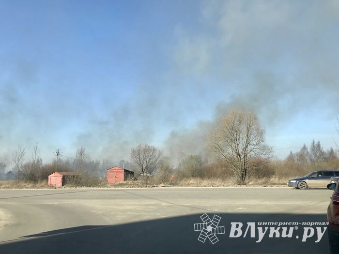 Пал травы угрожает строениям в Северном микрорайоне (ФОТО; ВИДЕО)