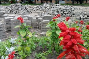 Карцево в Великих Луках мостят (ФОТО)