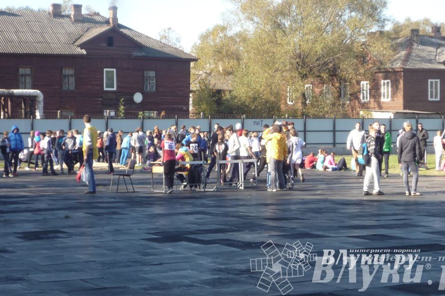 В Великих Луках прошли соревнования учащихся «Шиповка юных» (фото)