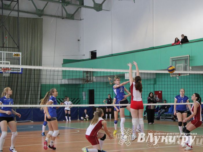 В Великих Луках прошли международные соревнования по волейболу (фото)