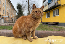 Прогноз погоды на 10 апреля в Великих Луках