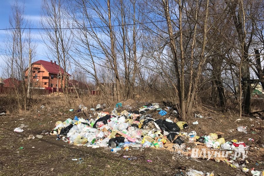 На набережной Лазавицкой угрожающе растёт помойка (ФОТО)