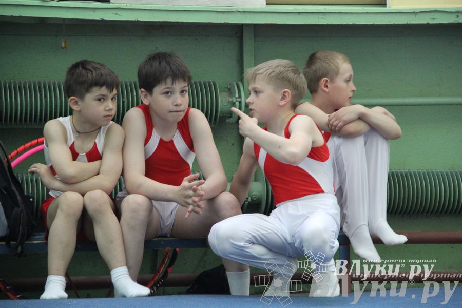 Открытый Кубок Псковской области по спортивной гимнастике