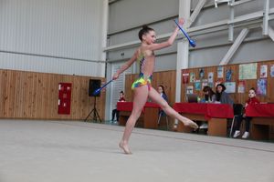 В Великих Луках прошли соревнования по по художественной гимнастике (ФОТО)
