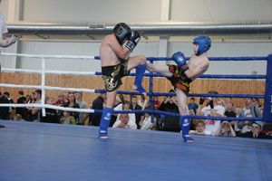 1-й Фестиваль боевых искусств состоялся в Великих Луках  (ФОТО)